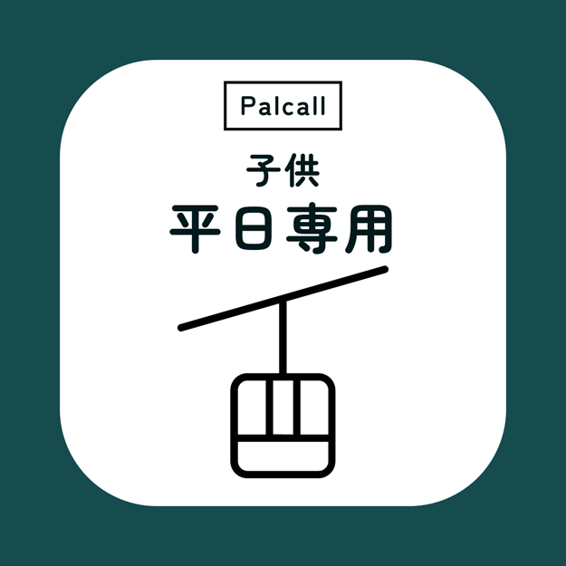 パルコール嬬恋 リフト1日券 大人2枚分 2024-2025 スキー場「早割